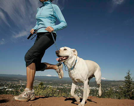 Seu cachorro precisa de Exercícios