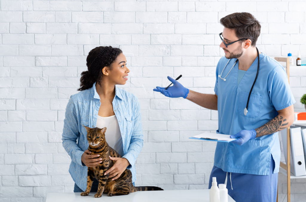 Cat owner with her pet communicating to male veterinarian at medical office